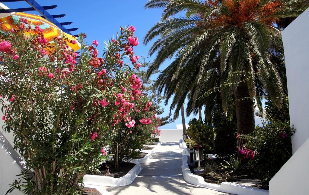 Apartamentos Playamar Puerto del Carmen  Exteriér fotografie